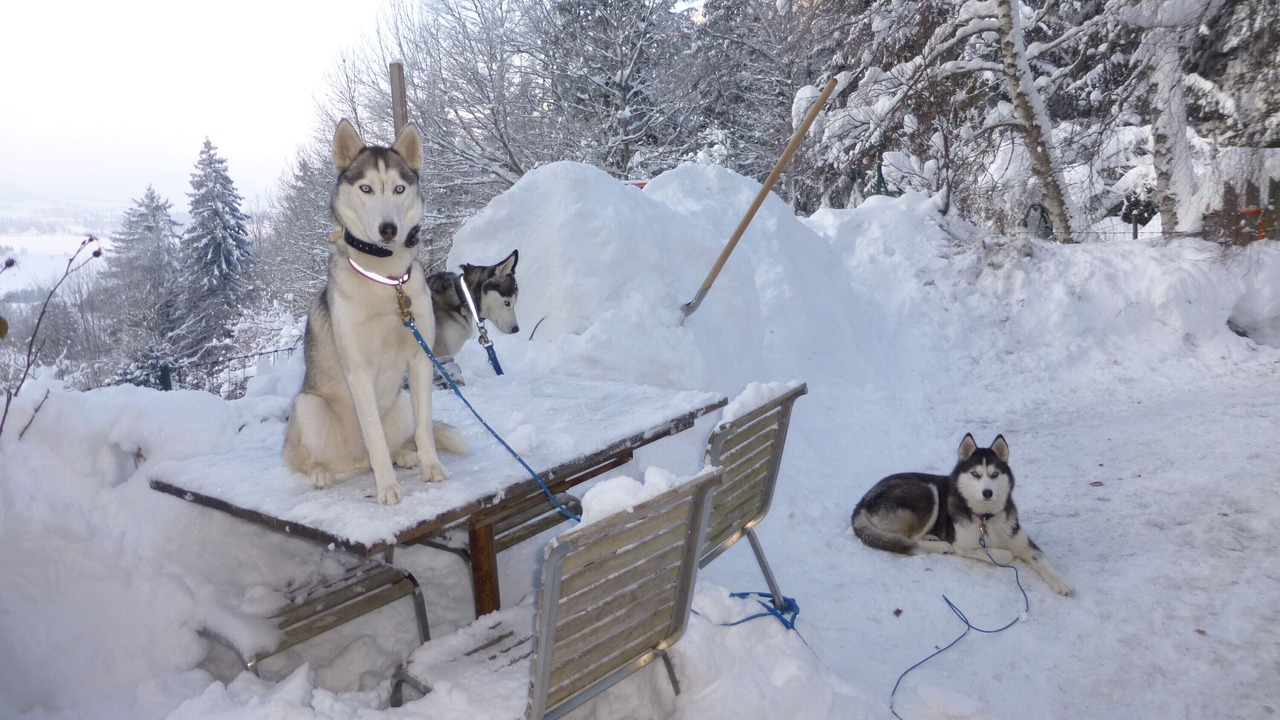Photo of Others in Autrans-Meaudre-en-Vercors