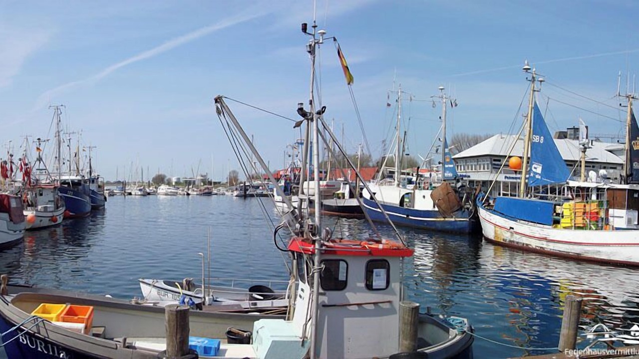 Photo of Others in Burgstaaken