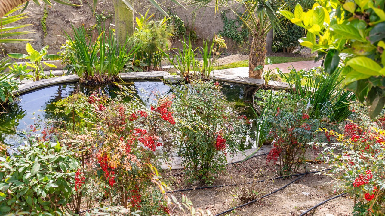 Photo of Outdoor in Oasis del Capistrano