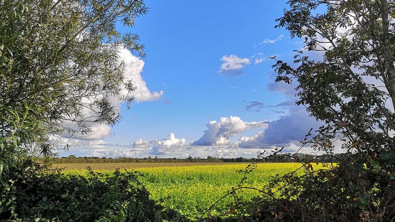 Photo of Outdoor in Walchum