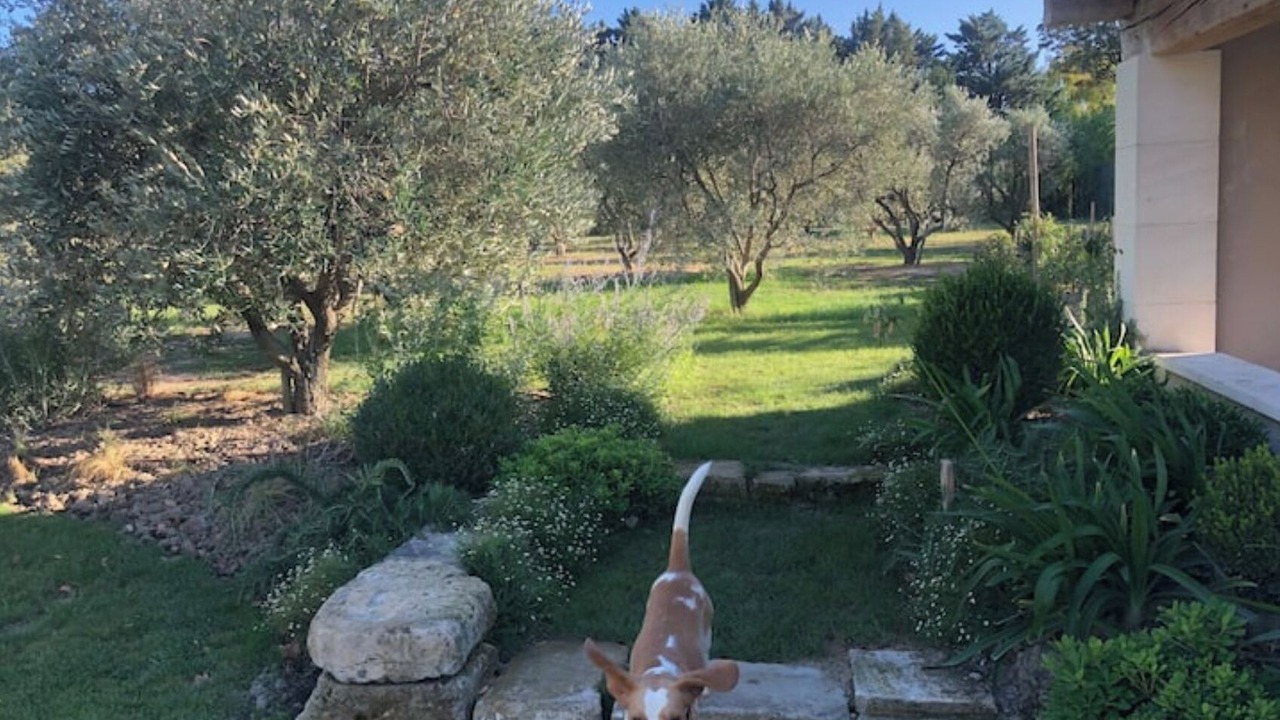 Photo of Outdoor in Eyragues