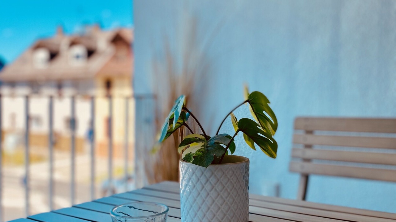 Photo of Outdoor in Seligenstadt