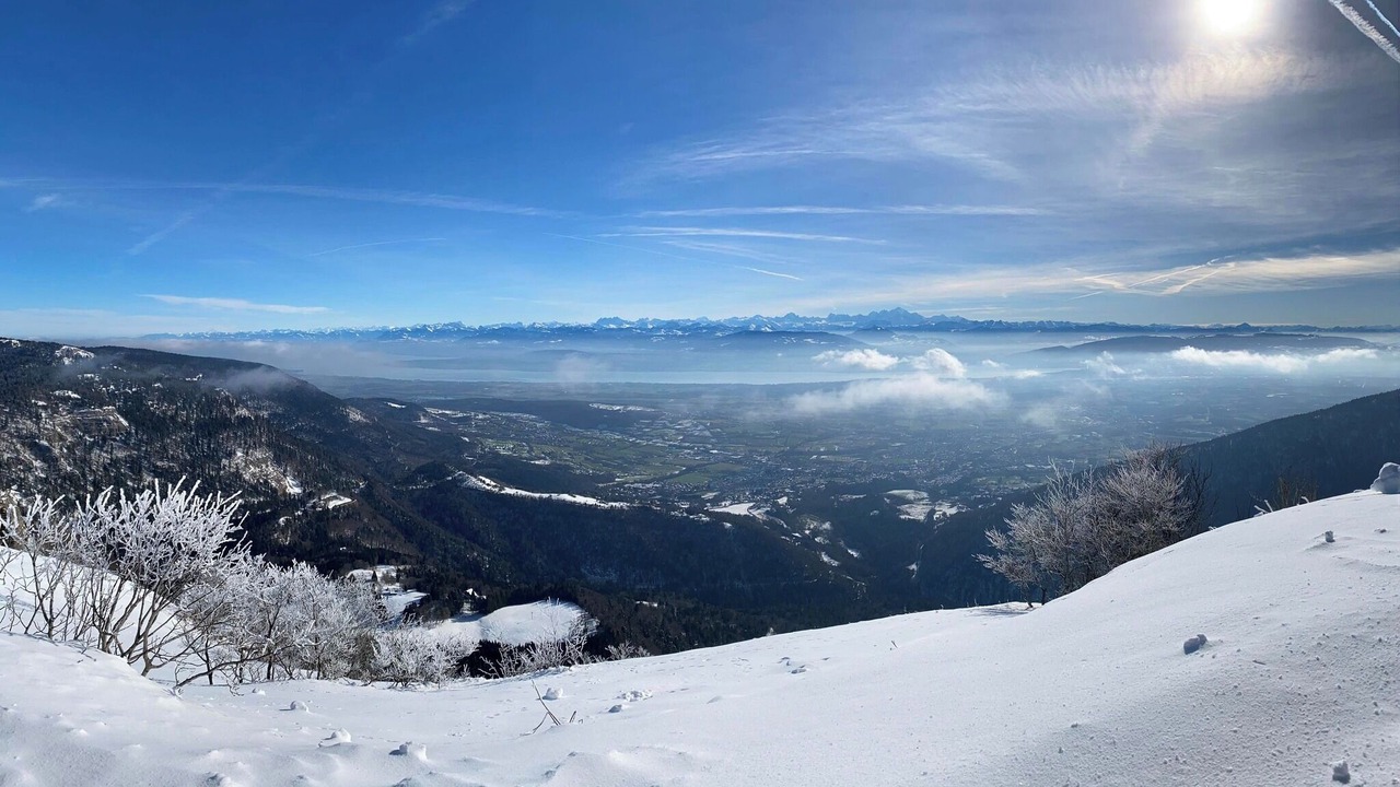 Photo of Others in Mijoux