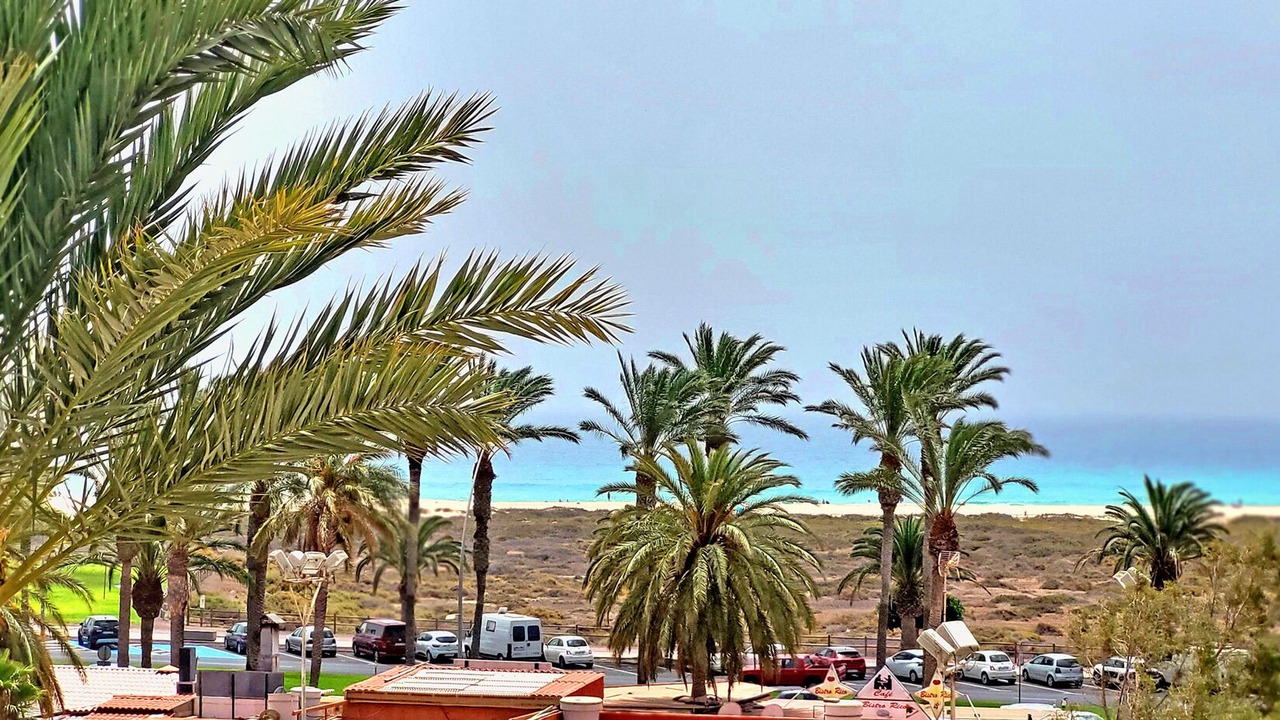 Photo of Outdoor in Solana del Matorral