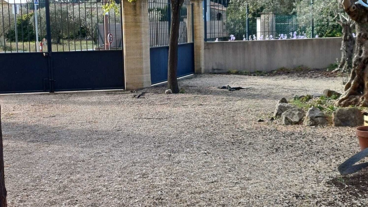 Photo of Outdoor in Castillon-du-Gard