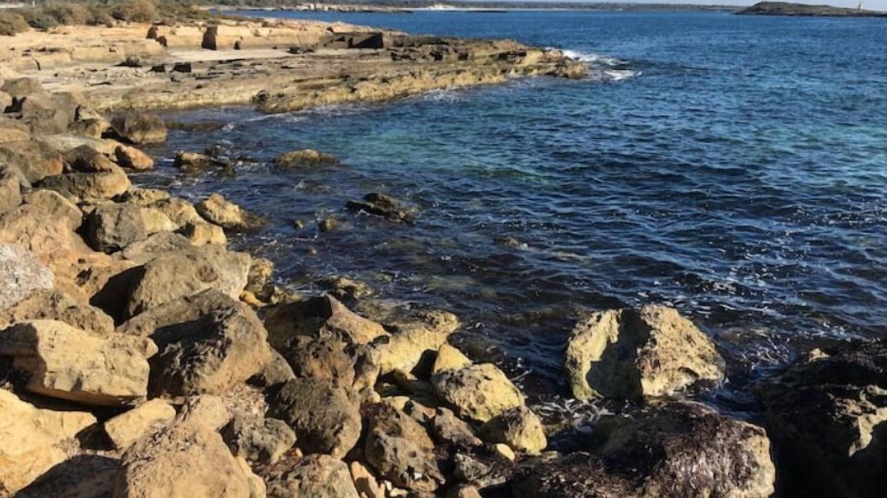 Photo of Others in Portocolom