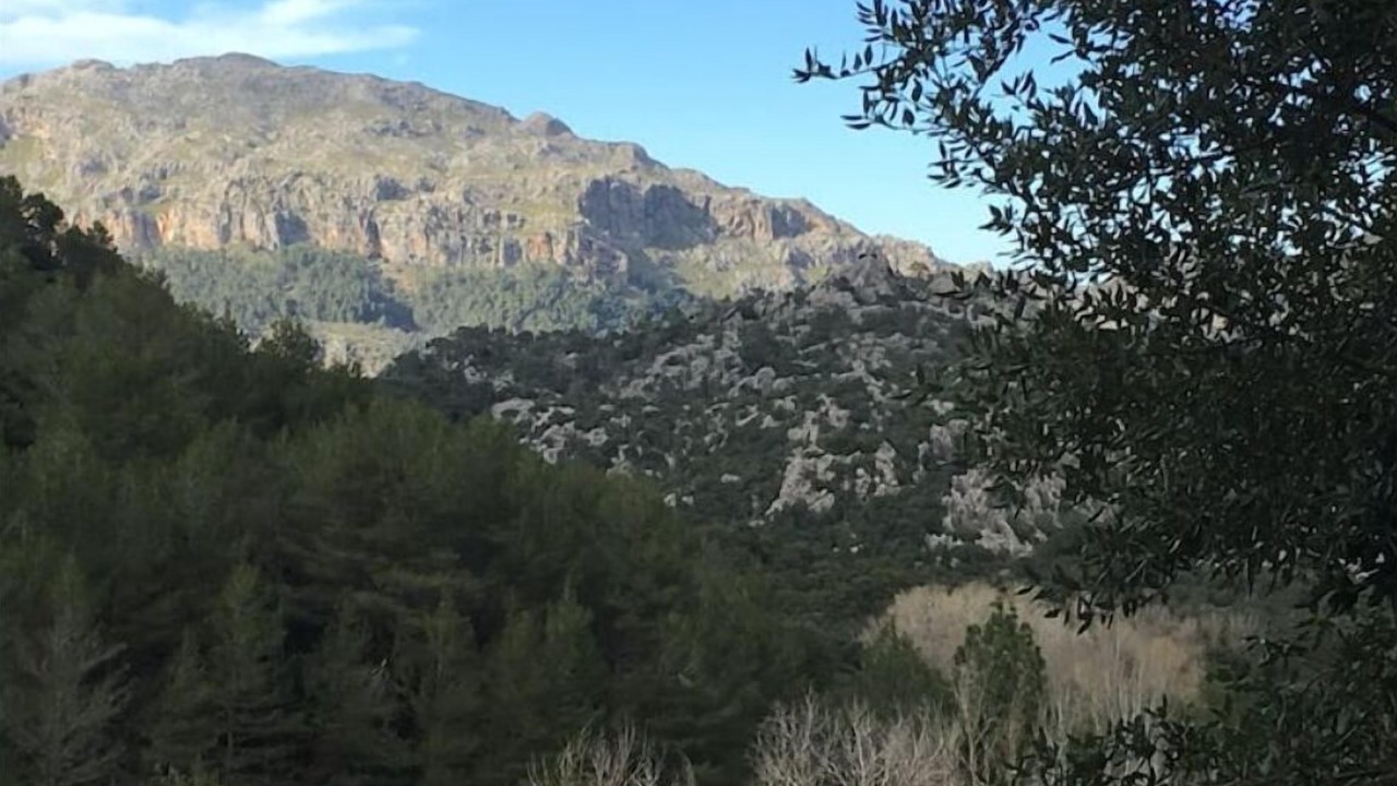 Photo of Outdoor in Portocolom