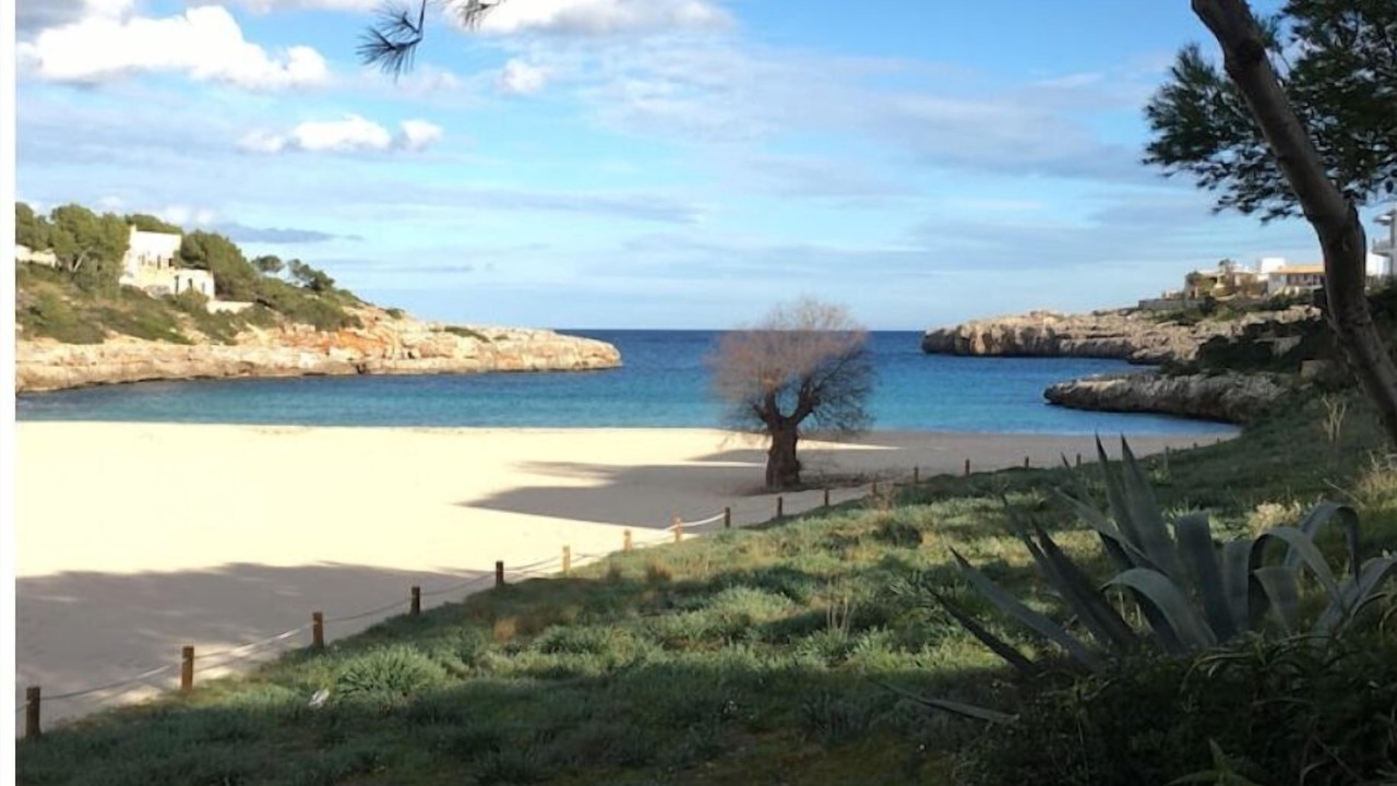 Photo of Others in Portocolom