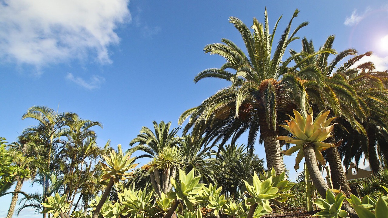 Photo of Outdoor in Las Arenas