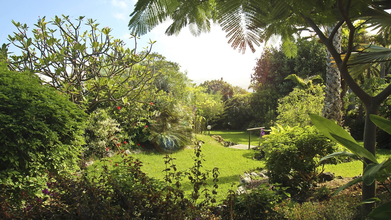 Photo of Outdoor in Las Arenas