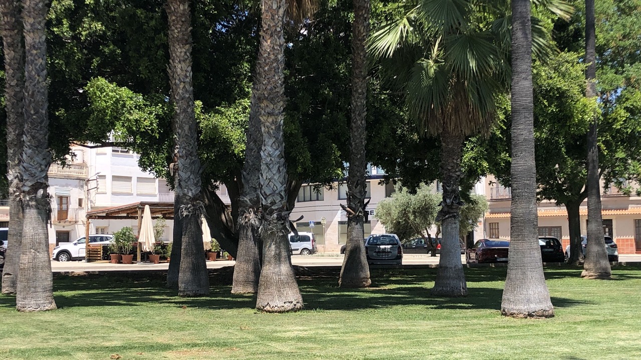 Photo of Outdoor in Sant Carles de la Rapita