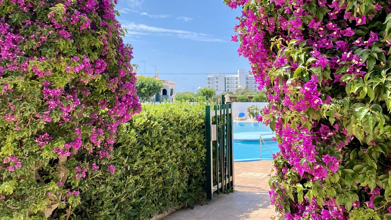 Photo of Outdoor in Cala en Blanes