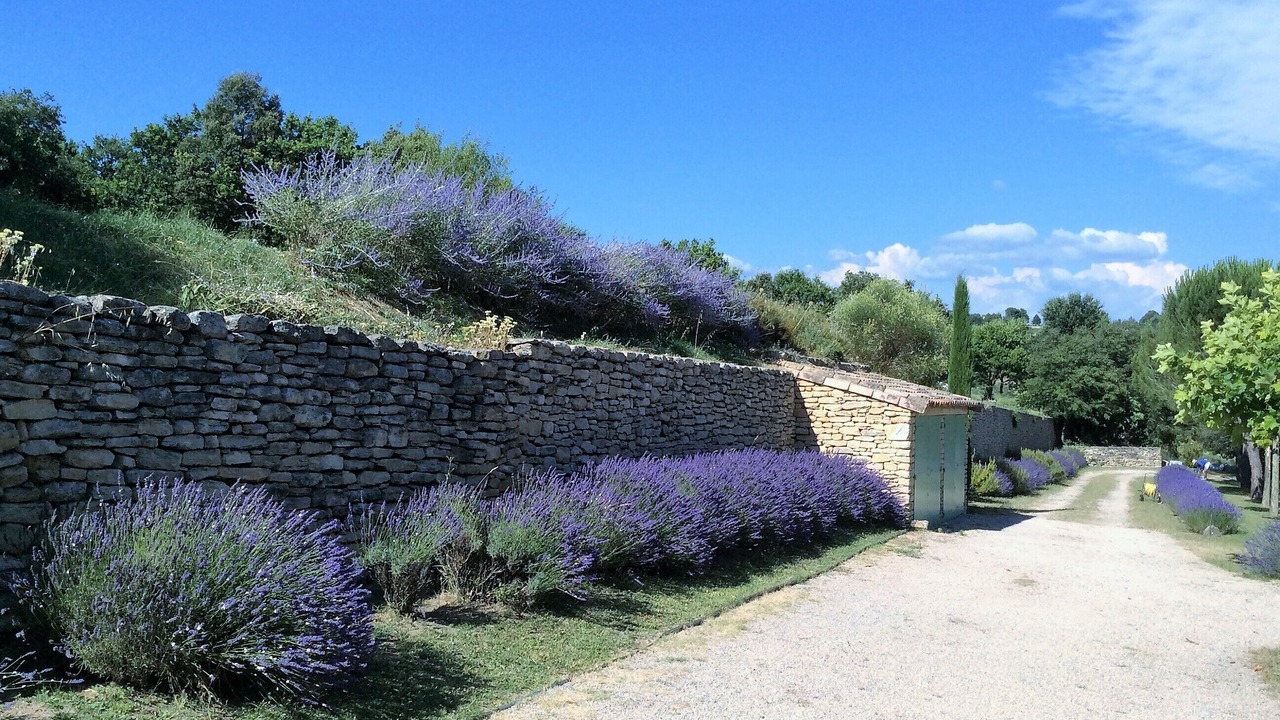 Photo of Outdoor in Goult