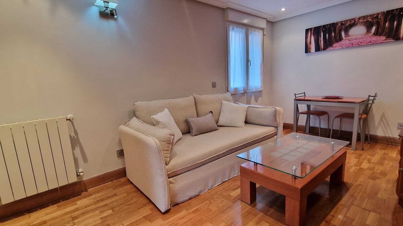 Photo of Livingroom in Getxo