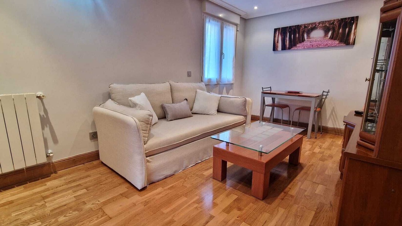 Photo of Livingroom in Getxo