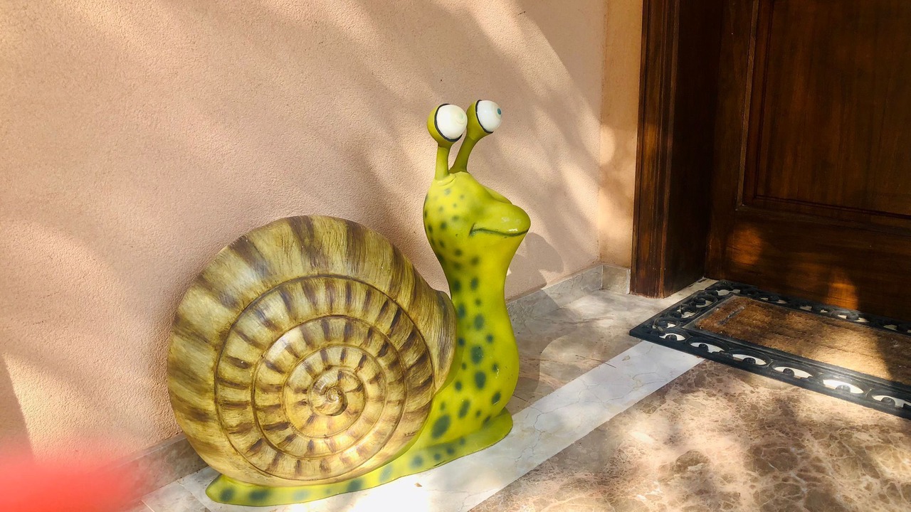 Photo of Outdoor in Puig de Ros