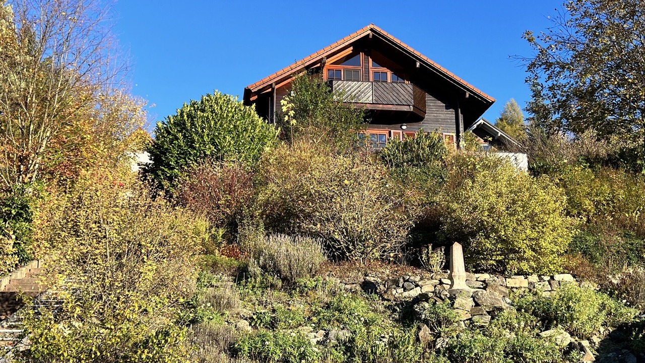 Photo of Outdoor in Dorfweil
