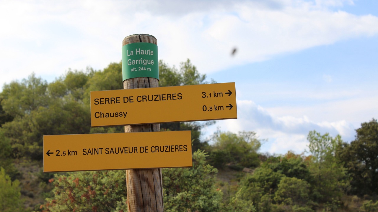 Photo of Others in Saint-Sauveur-de-Cruzieres