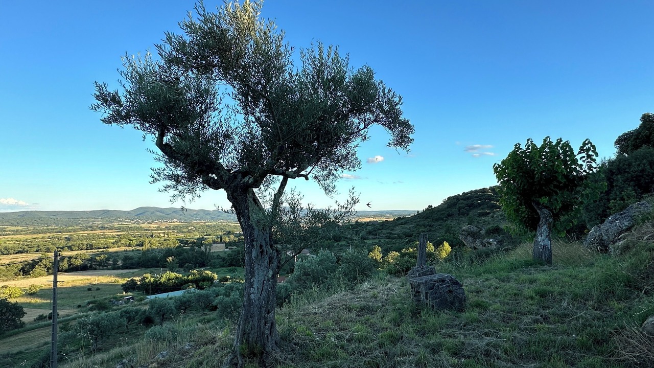 Photo of Others in Saint-Sauveur-de-Cruzieres