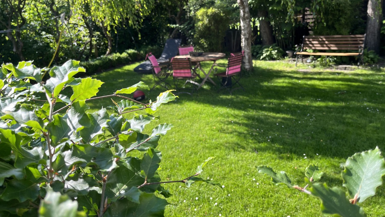 Photo of Outdoor in Oldenburg