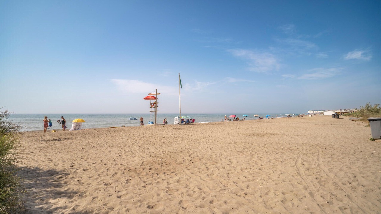 Photo of Others in Guadalmar