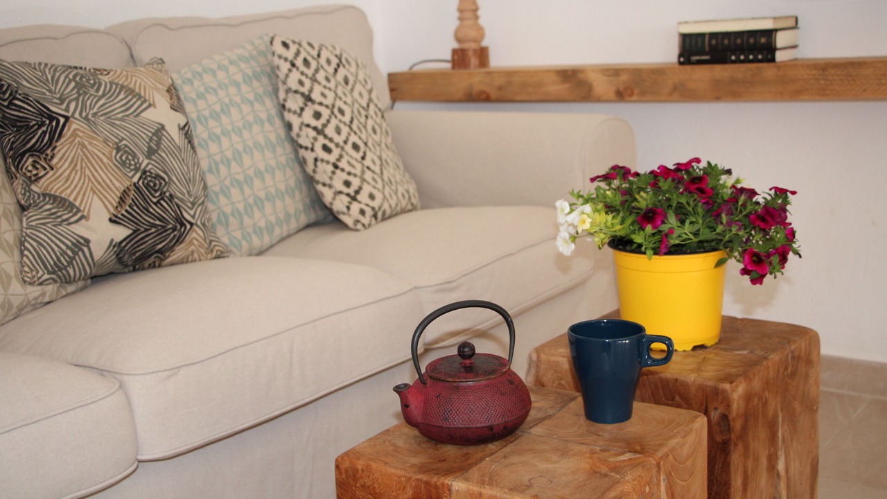 Photo of Livingroom in Son Xoriguer