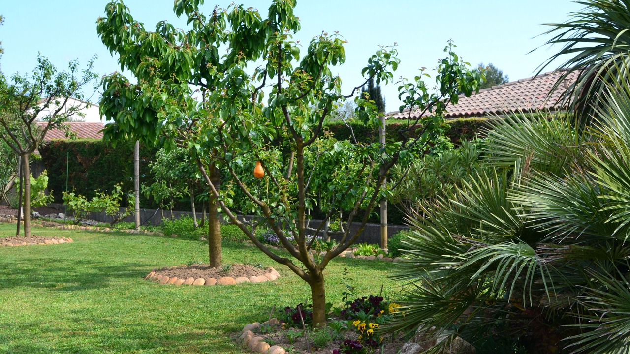 Photo of Outdoor in Poulx