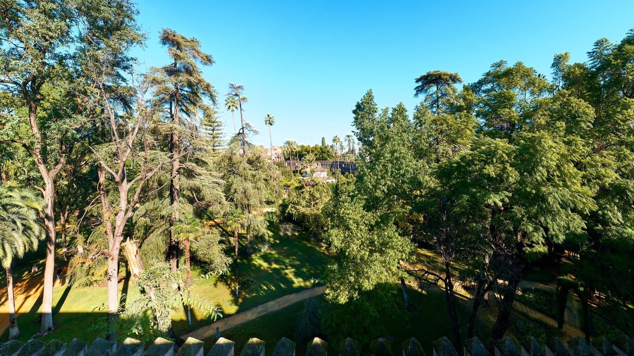Photo of Outdoor in Santa Cruz
