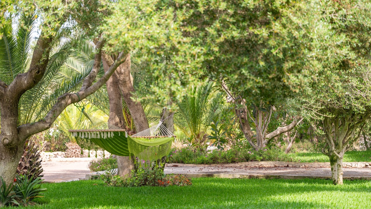 Photo of Outdoor in l'Aranjassa