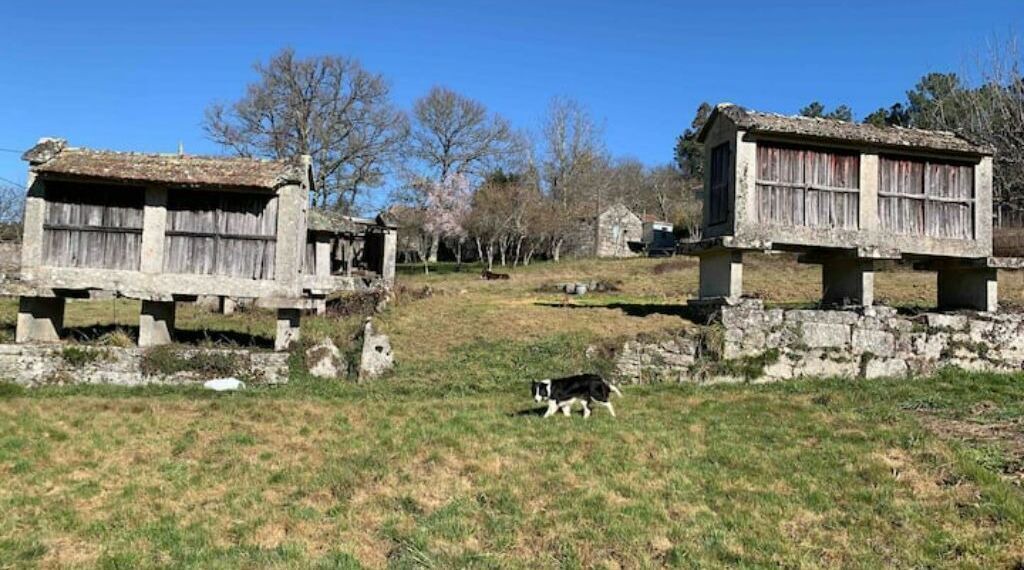 Photo of Outdoor in O Irixo