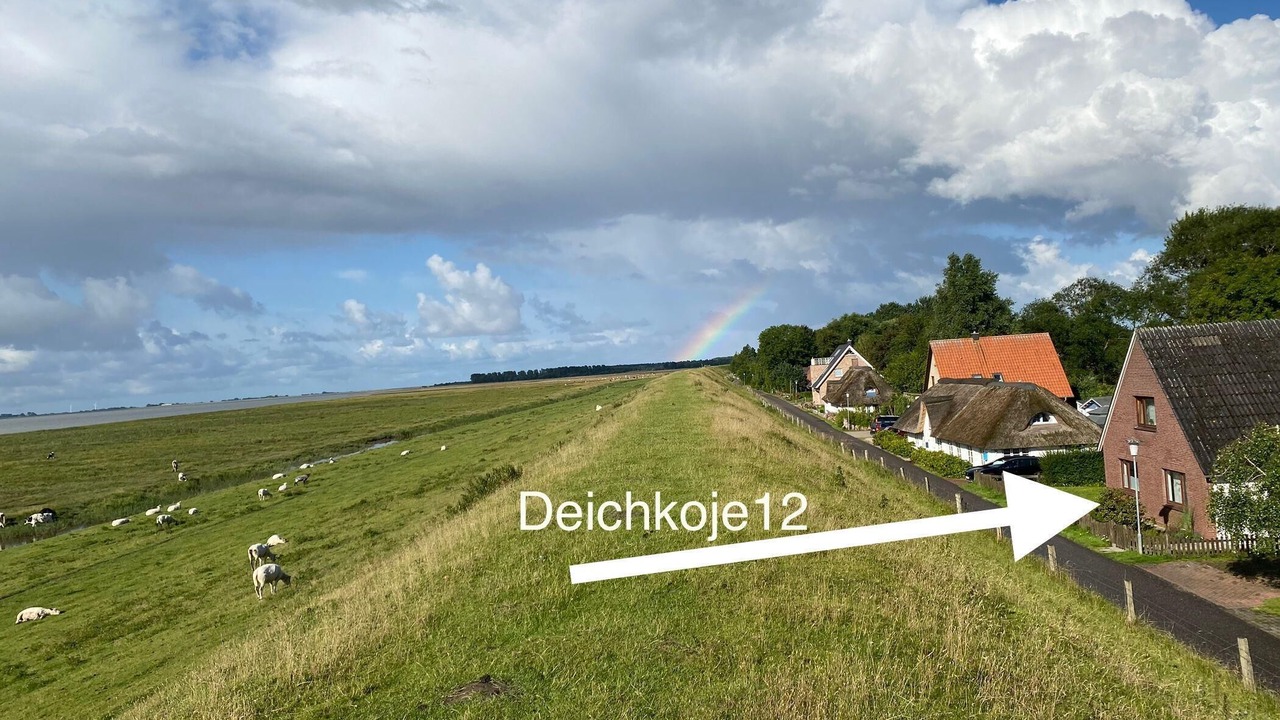 Photo of Outdoor in Toenning