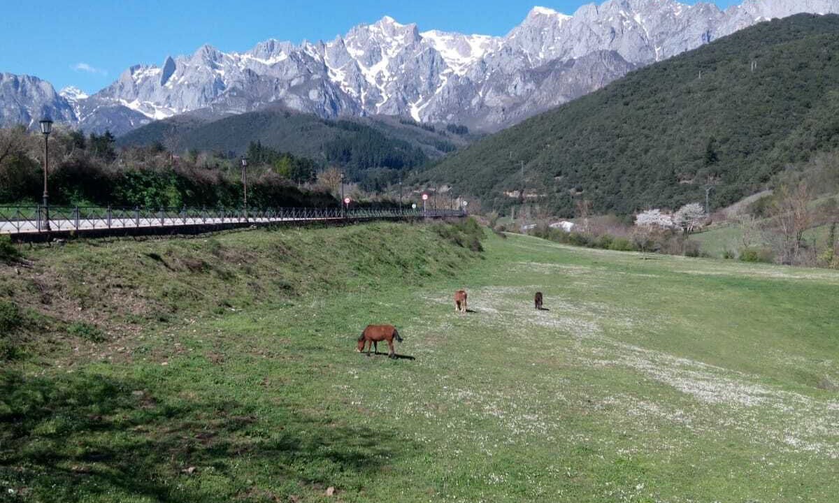 Photo of Outdoor in Tanarrio