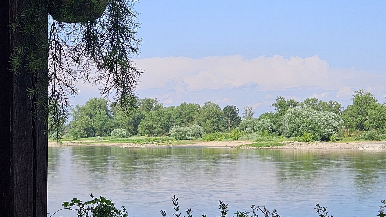 Photo of Others in Stendal District
