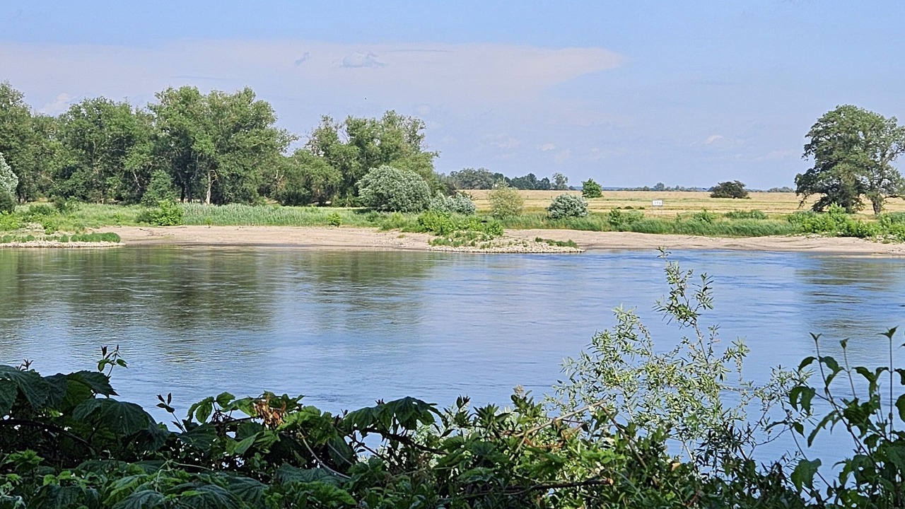 Photo of Others in Storkau