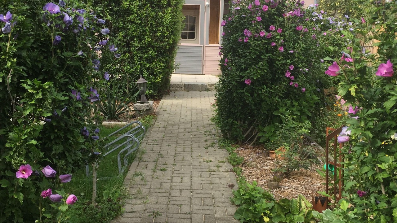 Photo of Outdoor in Blankenburg