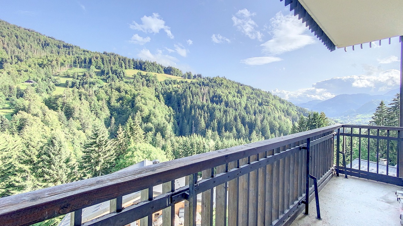 Photo of Outdoor in Flumet