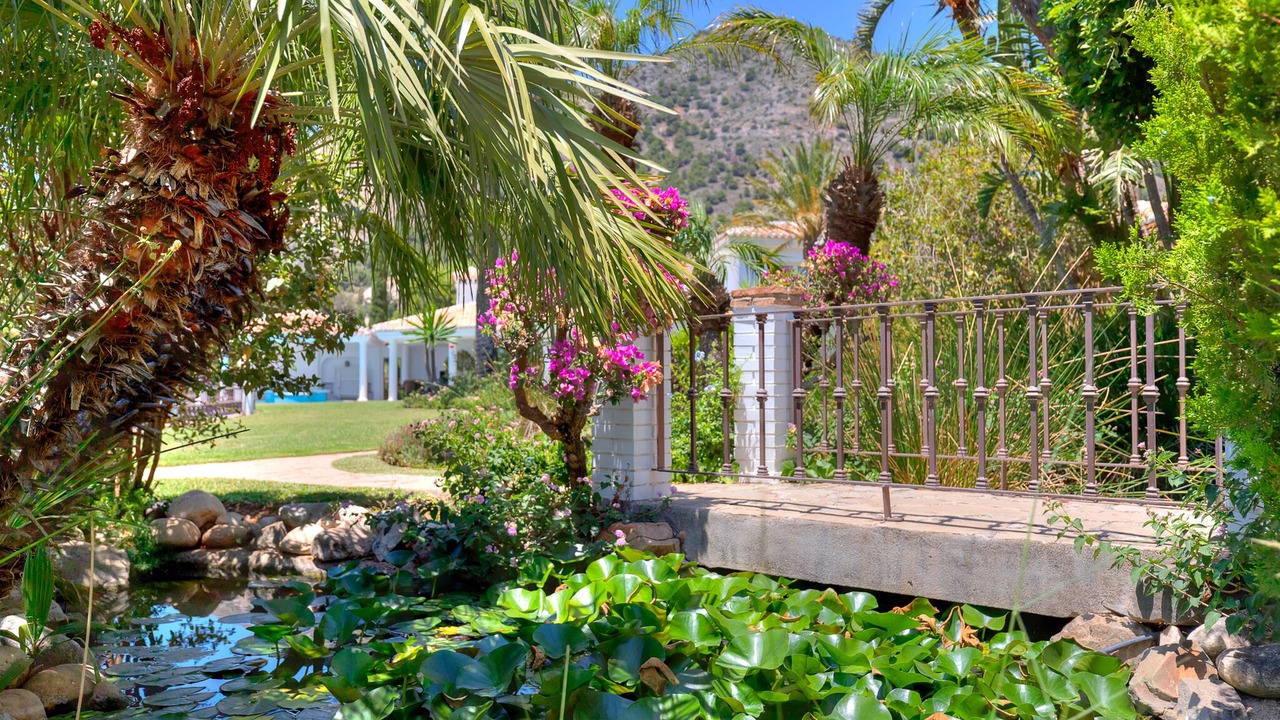 Photo of Outdoor in La Capellania