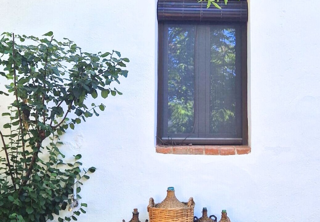 Photo of Outdoor in Guadalupe