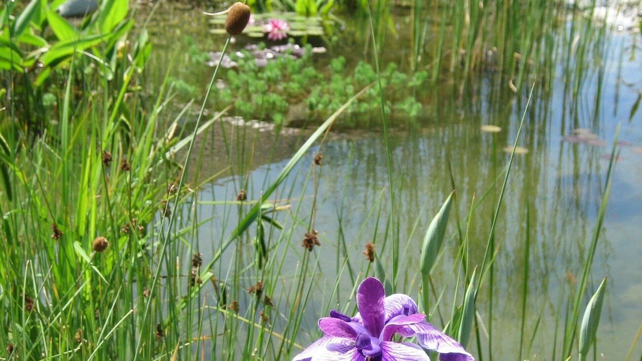 Photo of Outdoor in Choisy