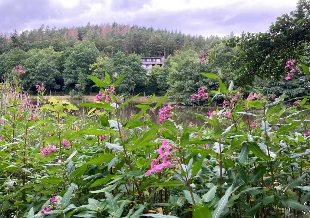 Photo of Outdoor in Ziebach