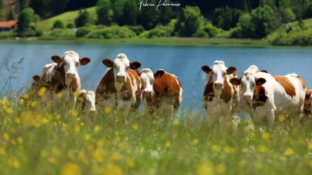 Photo of Others in Pontarlier