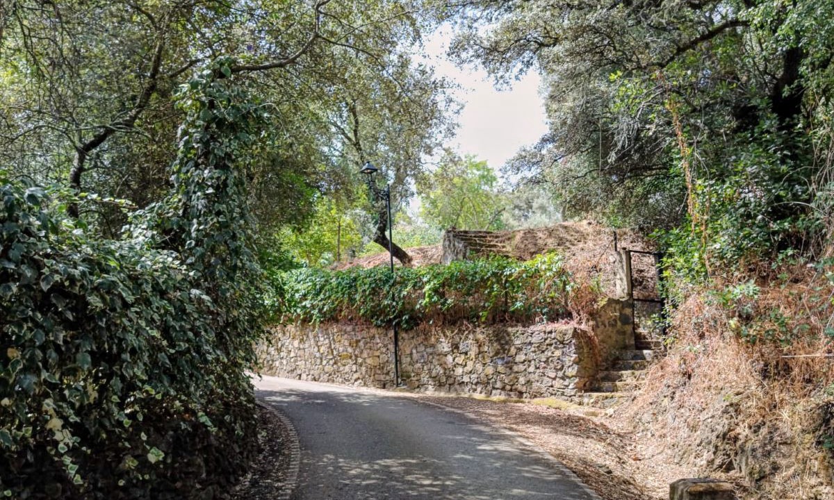 Photo of Outdoor in Corterrangel
