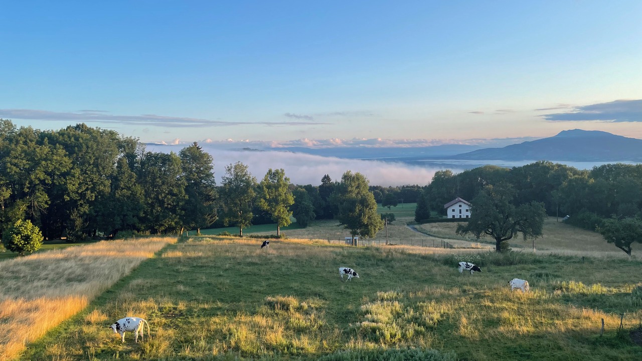 Photo of Outdoor in La Roche-sur-Foron