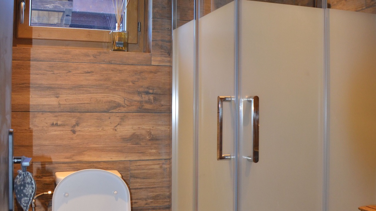 Photo of Bathroom in La Roche-sur-Foron