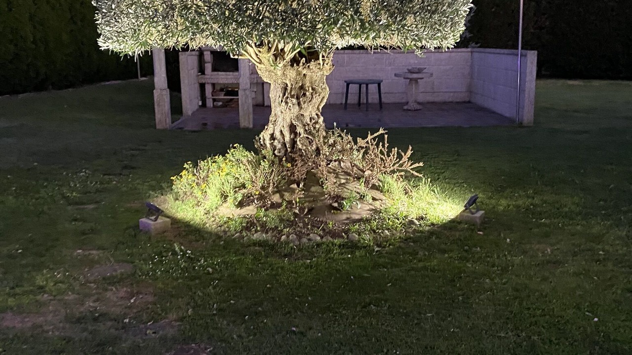 Photo of Outdoor in Caldas de Reis