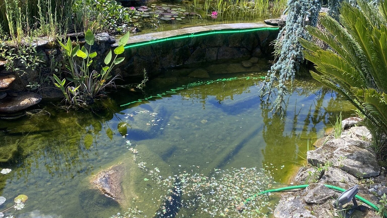 Photo of Outdoor in Caldas de Reis