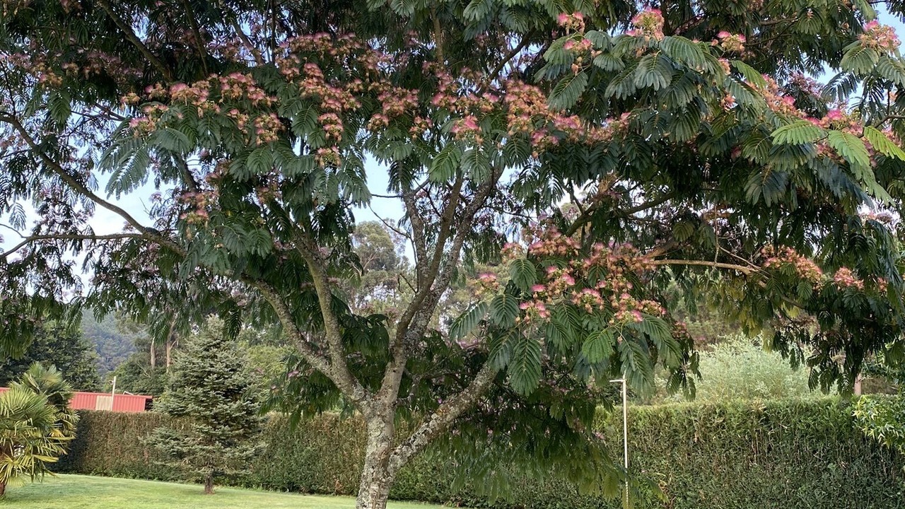 Photo of Outdoor in Caldas de Reis