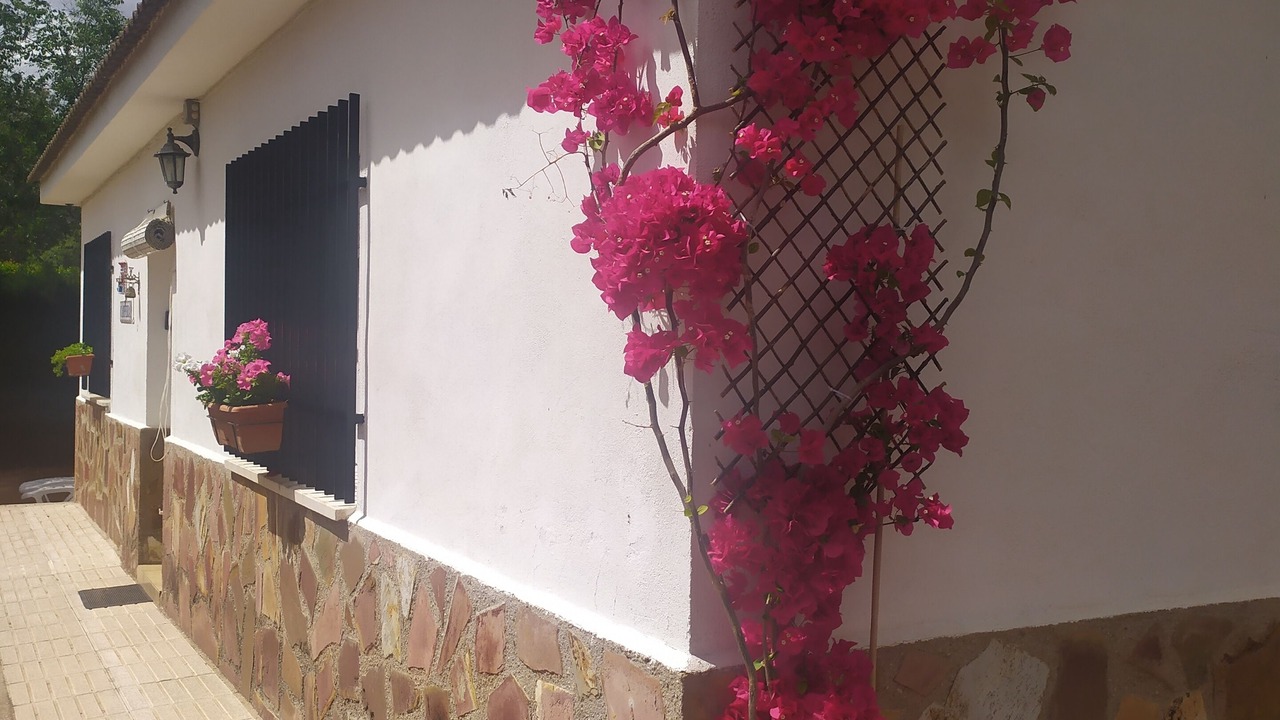Photo of Outdoor in Poblete