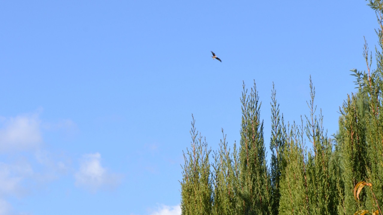 Photo of Outdoor in Gata
