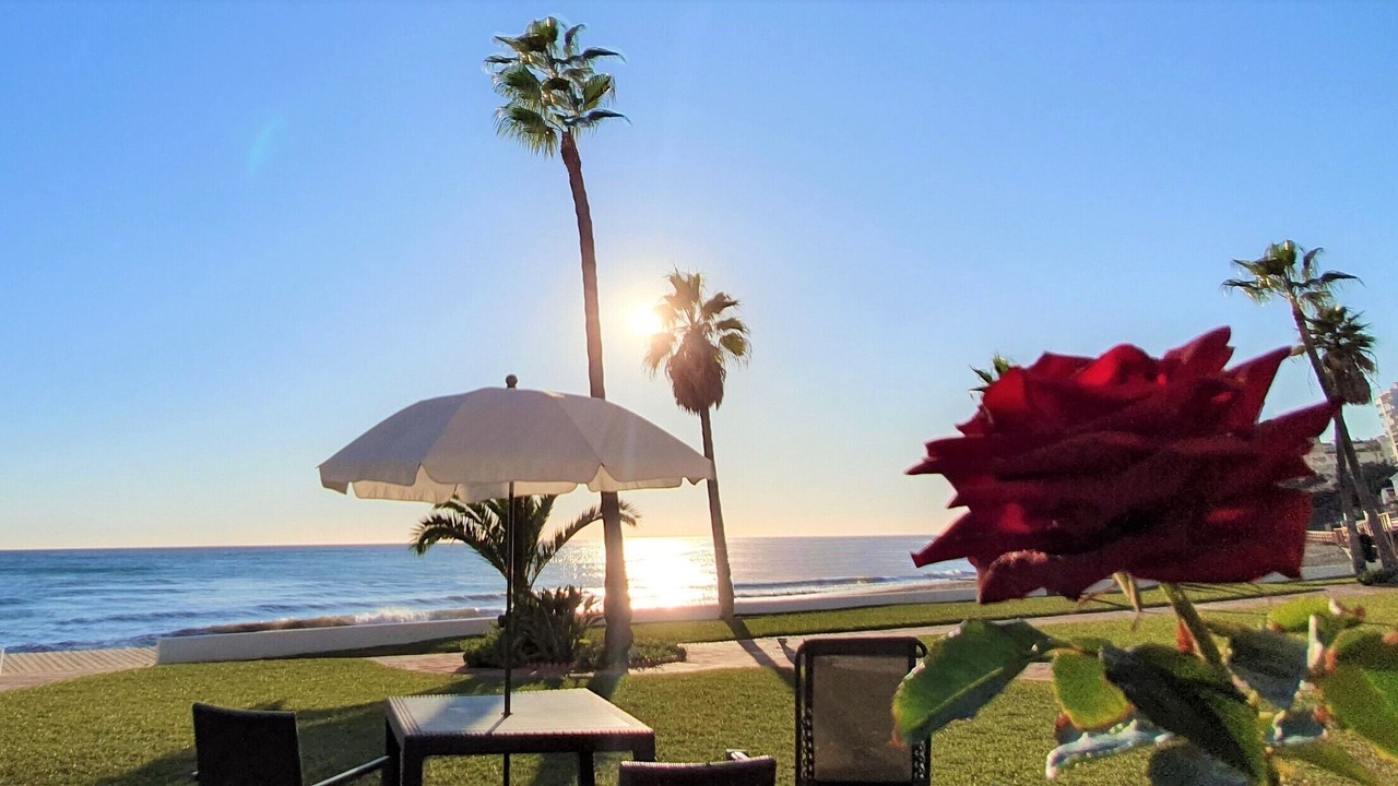Photo of Outdoor in Sitio de Calahonda